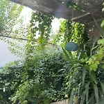 Ezgi's With Private Garden In Apartament *